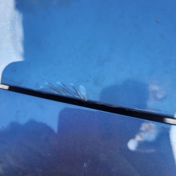 Kaplama Garanti Sorunu Ve Bayiden Dönüş Alamıyorum