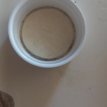 Aldığım Saç Vitamininde Küf Ve Saç Dökülmesi Sorunu!