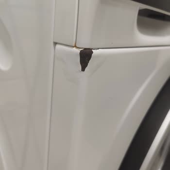 Yeni Siemens Çamaşır Makinesinde Sürekli Paslanma Ve Garanti Sorunu