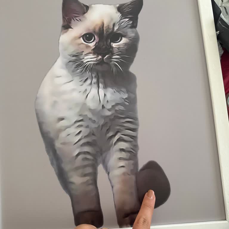 Kötü Baskı Kalitesi Ve İletişimsizlik Nedeniyle Ücret İadesi Talebim