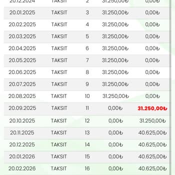 Araç Teslimat Sürecinde Bilgi Eksikliği Ve Belirsizlik Mağduriyeti