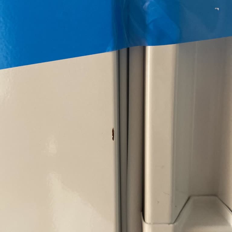 Bosch Ayıplı Ürün Teslimatı Ve Müşteri Mağduriyeti