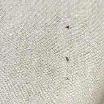 Beko Çamaşır Makinesi Sürekli Arızalanıyor, Servisten Çözüm Alamıyorum