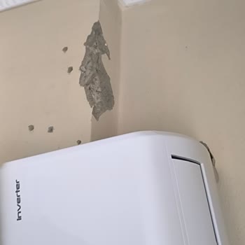 Klimanın Hatalı Montajı Sonucu Oluşan Duvar Hasarının Giderilmesini Talep Ediyorum