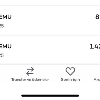 Temu İptal Edilen Siparişlerimin İadesi Yapılmadı Müşteri Hizmetleri Çözüm Sunmuyor