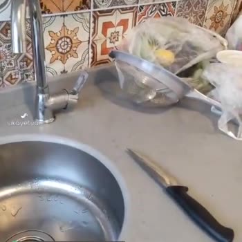 Jolly Tur Problem Olduğunda Ortada Yok!