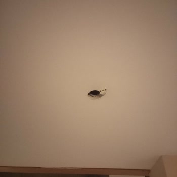 Simurg Luxury Türkler Otel'de Temizlik, Hizmet Ve İade Sorunu