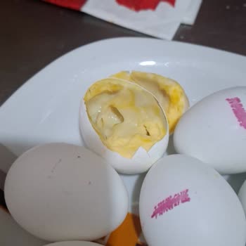 Bozuk Yumurta Satışı Ve Müşteri Hizmetlerinde İlgisizlik