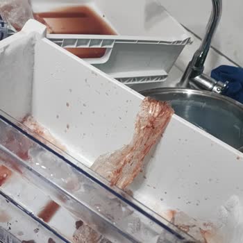 Derin Dondurucu Sürekli Buz Tutuyor, Servis Yardımcı Olmuyor