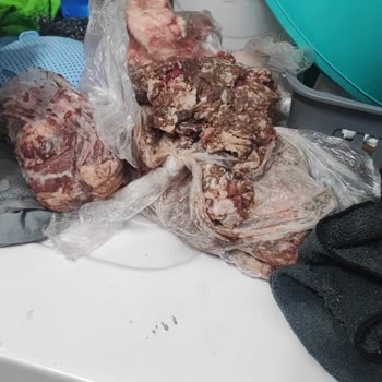 Derin Dondurucu Sürekli Buz Tutuyor, Servis Yardımcı Olmuyor