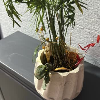 Sipariş Edilen Teraryumun Görselden Farklı Ve Solmuş Gelmesi