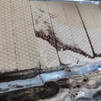 Kapalı Ambalajdan Eksik Gofret Çıktı, Mağduriyet Yaşadım