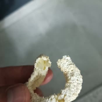 Superfresh Soğan Halkası Bozuk Çıktı: Sağlık Riski Ve İade Talebi