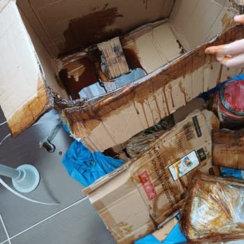 Kargom Hasarlı Teslim Edildi, Mağduriyetim Giderilmiyor