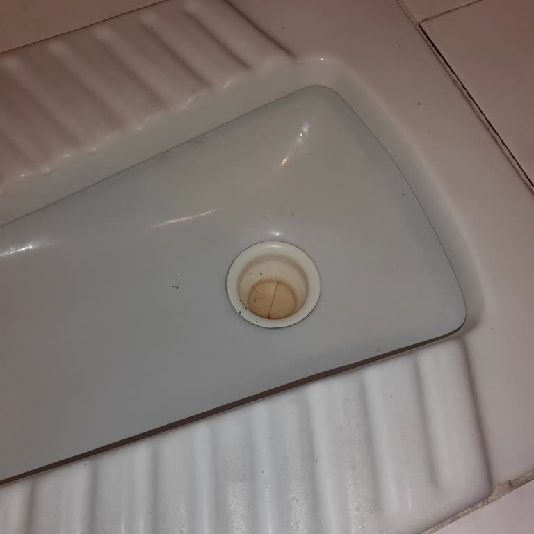 Foseptik Taşması Sorunu Ve Yetersiz Belediye Hizmeti Nedeniyle Mağduriyet