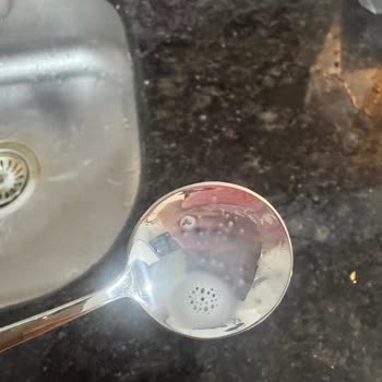 Satın Aldığım Sütlerin İçinden Böcek Çıktı, Sağlığımız Tehlikeye Girdi