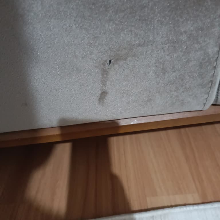 Bir Yıldır Çözülemeyen Koltuk Değişim Sorunu Ve Yetersiz Hizmet