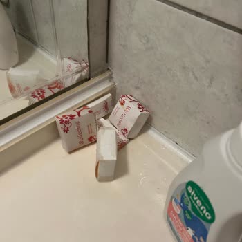 Otel Odasında Küf Kokusu Ve Yetersiz Temizlik Sorunu