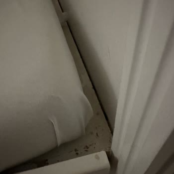 Otel Odasında Küf Kokusu Ve Yetersiz Temizlik Sorunu