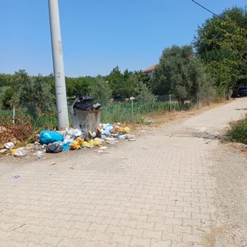 Beyobası Mahallesinde Çöp Ve Sinek Sorunu Çözülemiyor