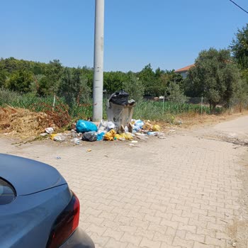 Beyobası Mahallesinde Çöp Ve Sinek Sorunu Çözülemiyor