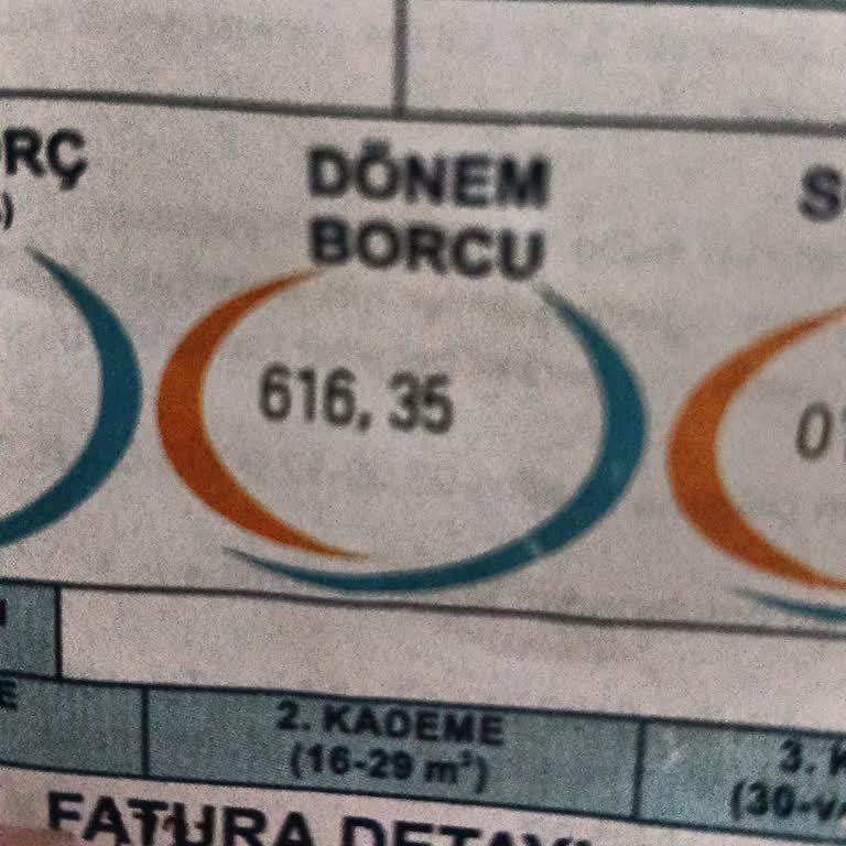 Düşük Su Kullanımına Rağmen Yüksek Fatura Şikayeti Ve İnceleme Talebi