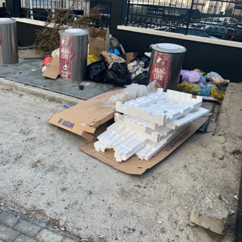 Pasinler Caddesi Ve Kanuni Mahallesi'nde Çöp Kokusu Ve Kirlilik Sorunu