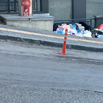 Pasinler Caddesi Ve Kanuni Mahallesi'nde Çöp Suyu Kaynaklı Koku Sorunu