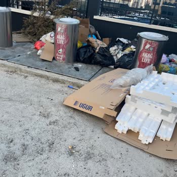 Pasinler Caddesi Ve Kanuni Mahallesi'nde Çöp Suyu Kaynaklı Koku Sorunu