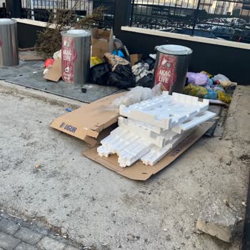 Pasinler Caddesi Ve Kanuni Mahallesi'nde Çöp Suyu Kaynaklı Koku Sorunu