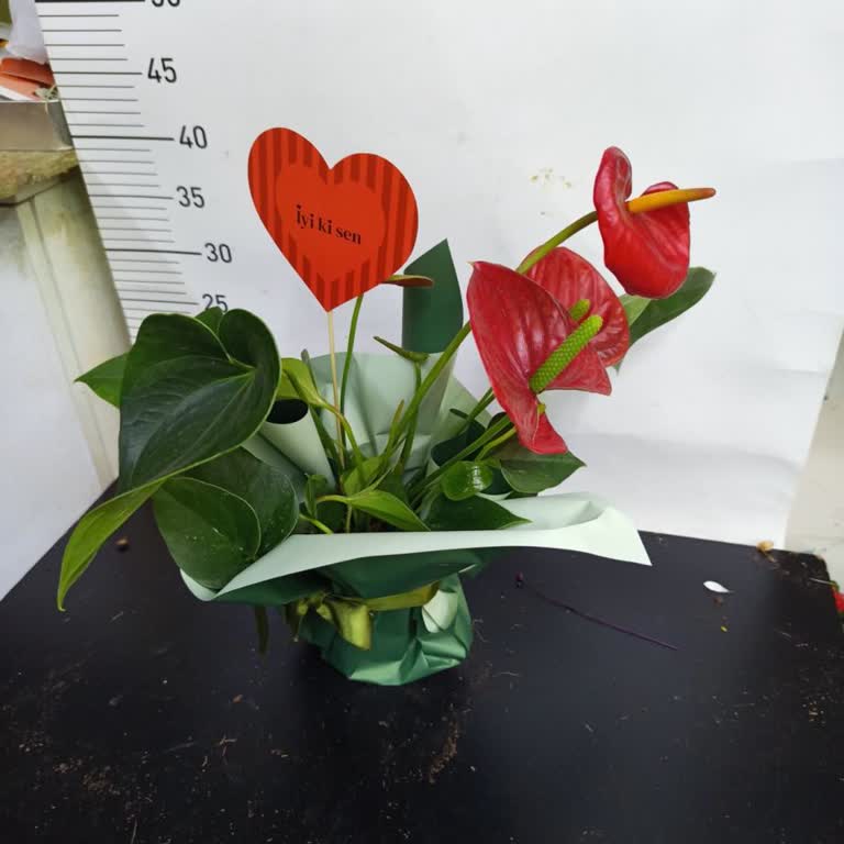 Sipariş Ettiğim Çiçek Eksik Ve Kalitesiz Geldi Müşteri Hizmetlerine Ulaşamıyorum