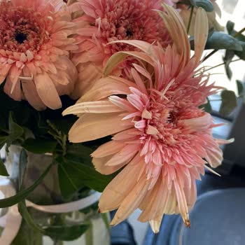 Sipariş Ettiğim Çiçek Soluk Ve Hasarlı Teslim Edildi Müşteri Hizmetlerinden Dönüş Alamadım