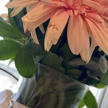 Sipariş Ettiğim Çiçek Soluk Ve Hasarlı Teslim Edildi Müşteri Hizmetlerinden Dönüş Alamadım