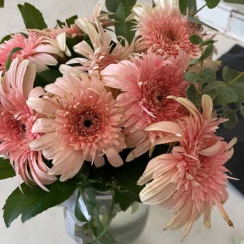 Sipariş Ettiğim Çiçek Soluk Ve Hasarlı Teslim Edildi Müşteri Hizmetlerinden Dönüş Alamadım