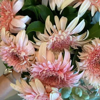 Sipariş Ettiğim Çiçek Soluk Ve Hasarlı Teslim Edildi Müşteri Hizmetlerinden Dönüş Alamadım