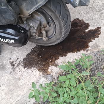 Garanti Kapsamındaki Motorumun Arızaları Giderilmiyor, Mağduriyetim Sürüyor