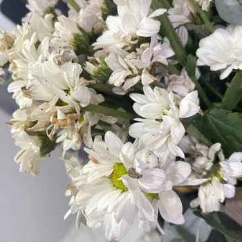 Kurtlanmış Ve Solmuş Çiçeklerle Büyük Hayal Kırıklığı Yaşadım