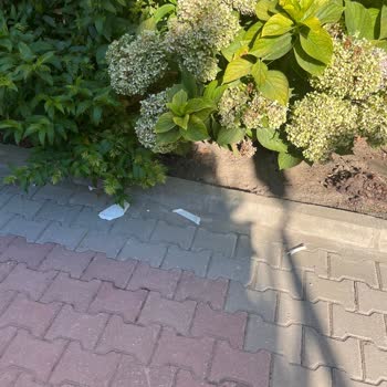 Yıldız Apart Pansiyon Erdek Müşteri Memnuniyetsizliği