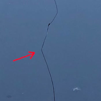 Tesla Model Y Cam Tavanında Nedensiz Çatlak Ve Garanti Sorunu