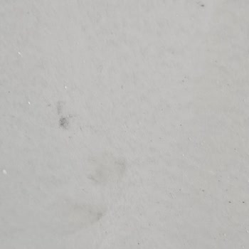 Sentetik Boya Uygulamasında Kuruma Sorunu ve Kullanılamaz Dolap Şikayeti