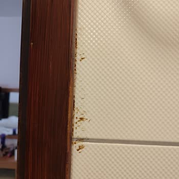 Kötü Temizlik, İlgisiz Personel Ve Sağlık Sorunu: Tatil Hayal Kırıklığına Dönüştü