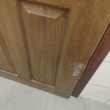 Kötü Temizlik, İlgisiz Personel Ve Sağlık Sorunu: Tatil Hayal Kırıklığına Dönüştü