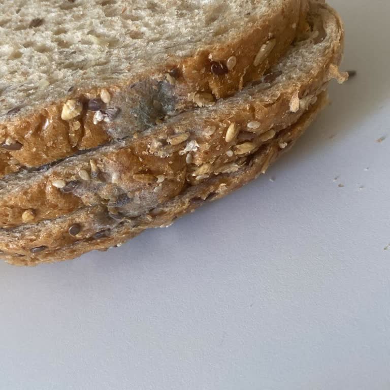 Aldığım Ekmek Küflü Çıktı, Tekrar Aynı Sorunu Yaşadım