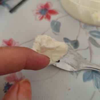 Dost Kaymak Ürününde Kıl Çıkması Hijyen Endişesi Yarattı