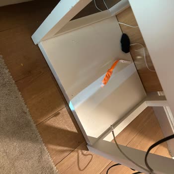 Çocuk Güvenliği Ve Hizmet Kalitesi Beklentilerinin Karşılanmadığı Rixos Park Belek Konaklaması