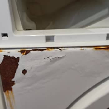 Arçelik Çamaşır Ve Bulaşık Makinesinde Erken Paslanma Ve Yüksek Servis Ücreti Sorunu