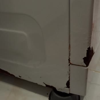Arçelik Çamaşır Ve Bulaşık Makinesinde Erken Paslanma Ve Yüksek Servis Ücreti Sorunu