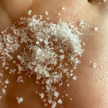 Mayi Tuz Ürünlerinde Böcek Ve Yabancı Madde Sorunu, Yetersiz Çözüm