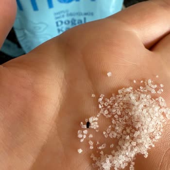 Mayi Tuz Ürünlerinde Böcek Ve Yabancı Madde Sorunu, Yetersiz Çözüm