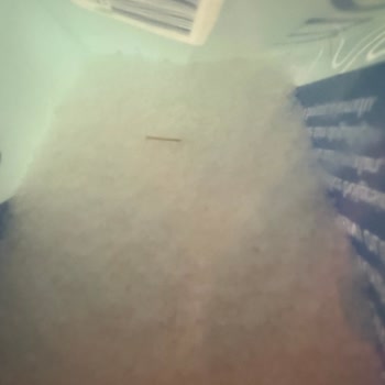 Mayi Tuz Ürünlerinde Böcek Ve Yabancı Madde Sorunu, Yetersiz Çözüm